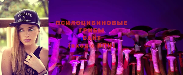 ешки Нефтекумск
