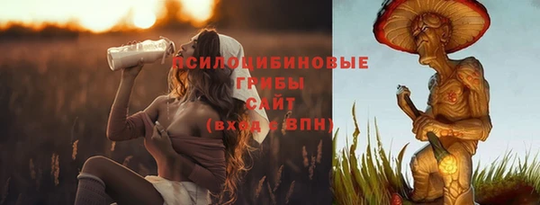 дживик Нея