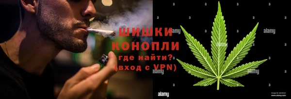 ГАЛЛЮЦИНОГЕННЫЕ ГРИБЫ Наволоки